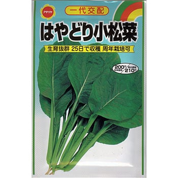 【タネ】はやどり小松菜 アタリヤ農園