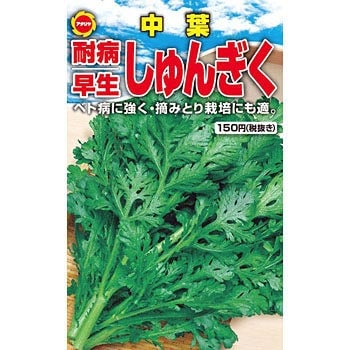 耐病早生中葉春菊 1袋 50ml アタリヤ農園 通販サイトmonotaro