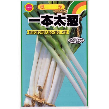 タネ 根深 一本太葱 アタリヤ農園 野菜の種 通年 通販モノタロウ 3198