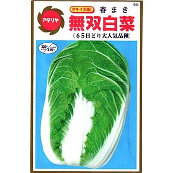 玉の白菜 kokkaen_2021n-p6-0005