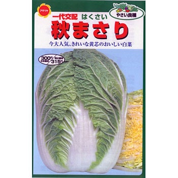 タネ 秋まさり白菜 アタリヤ農園 野菜の種 秋まき 通販モノタロウ