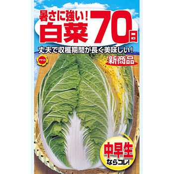 215238 【タネ】暑さに強い!白菜70日 1袋(3mL) アタリヤ農園 【通販