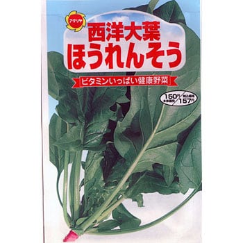 西洋大葉 ほうれんそう アタリヤ農園 野菜の種 通年 通販モノタロウ