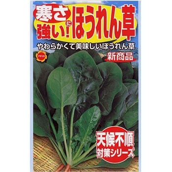 寒さに強い ほうれん草 アタリヤ農園 野菜の種 春まき 通販モノタロウ