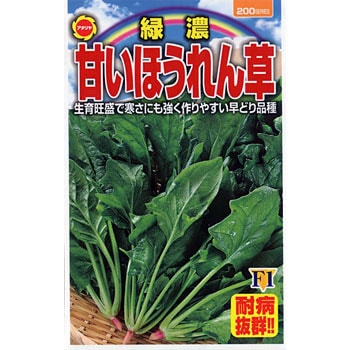 524064 【タネ】あまい緑濃ほうれん草 1袋(15mL) アタリヤ農園 【通販