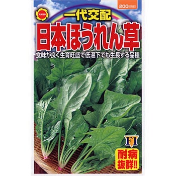 524187 【タネ】一代交配日本ほうれん草 1袋(15mL) アタリヤ農園