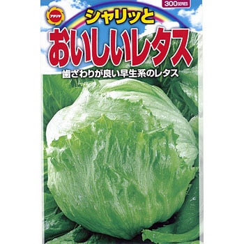 タネ シャリッと おいしいレタス アタリヤ農園 野菜の種 通年 通販モノタロウ 5192