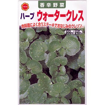 タネ ハーブ ウォータークレソン アタリヤ農園 野菜の種 通年 通販モノタロウ