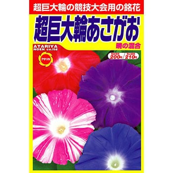 超巨大輪あさがお アタリヤ農園 植物 草花の種 春まき 通販モノタロウ