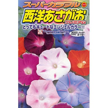 127708 スーパーカラフル西洋あさがおプレミアム 1袋(1.2mL) アタリヤ