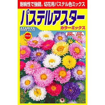 アスター松本 パステルカラーミックス アタリヤ農園 植物 草花の種 通年 通販モノタロウ