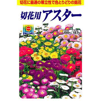 タネ 切花用アスター アタリヤ農園 植物 草花の種 通年 通販モノタロウ 3280