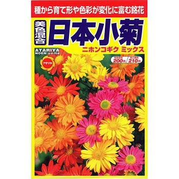 日本小菊 アタリヤ農園 植物 草花の種 春まき 通販モノタロウ