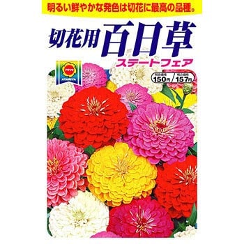 ステートフェア 切花用百日草 1袋 1 5ml アタリヤ農園 通販サイトmonotaro 3035