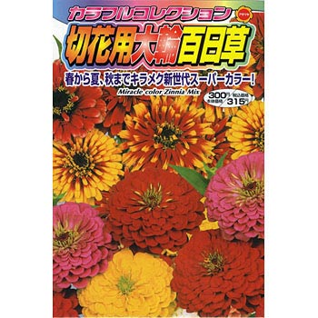 スーパーカラフル切花用大輪百日草 アタリヤ農園 植物 草花の種 春まき 通販モノタロウ