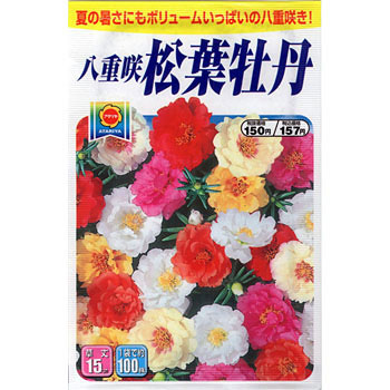 八重咲松葉牡丹 アタリヤ農園