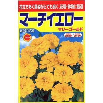 マリーゴールド マーチイエロー アタリヤ農園 植物 草花の種 春まき 通販モノタロウ