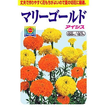 マリーゴールド アイシスミックス アタリヤ農園 植物 草花の種 春まき 通販モノタロウ 1259