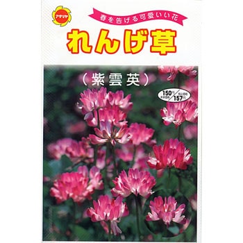 タネ れんげ アタリヤ農園 植物 草花の種 秋まき 通販モノタロウ 5158