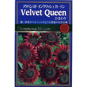 527232 ひまわりVelvet Queen 1袋(1mL) アタリヤ農園 【通販モノタロウ】