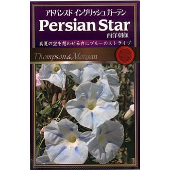 西洋朝顔persian Star アタリヤ農園 植物 草花の種 春まき 通販モノタロウ