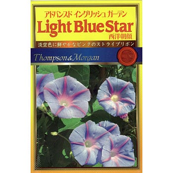西洋朝顔light Blue Star アタリヤ農園 植物 草花の種 春まき 通販モノタロウ