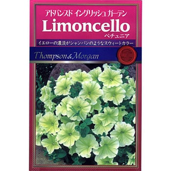 ペチュニアlimoncello アタリヤ農園 植物 草花の種 春まき 通販モノタロウ