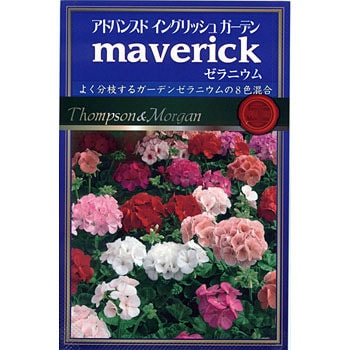 ゼラニウムmaverick アタリヤ農園 植物 草花の種 春まき 通販モノタロウ