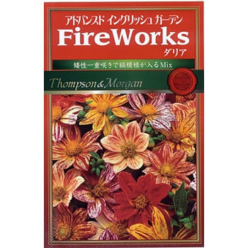 ダリアfireworks アタリヤ農園 植物 草花の種 春まき 通販モノタロウ