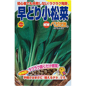 べじたま 早どり小松菜 アタリヤ農園