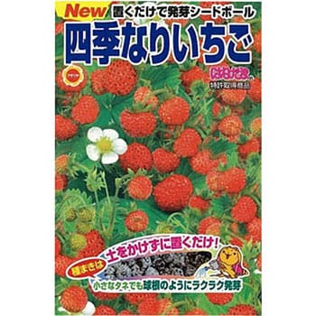 はなたま四季なりいちご 1袋 23粒 アタリヤ農園 通販サイトmonotaro