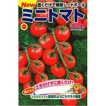 521247 はなたまミニトマト 1袋(14g) アタリヤ農園 【通販モノタロウ】