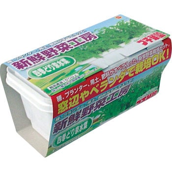 485822 �v�`�؉��l�G�ǂ苞���� �A�^�����_�� 89309726