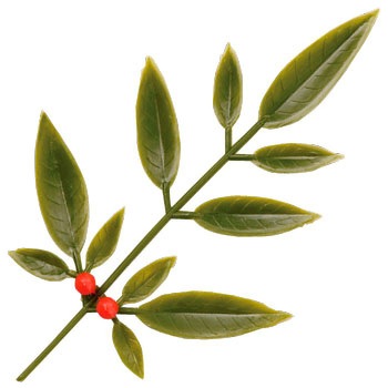 DN-76  单H 74mm124mm 1(800) DN-76 89310751