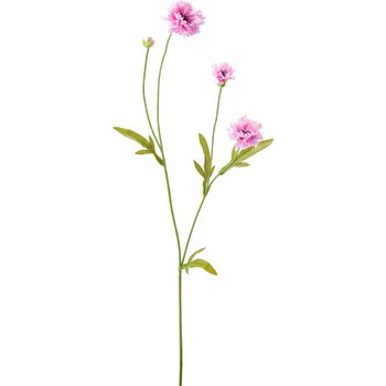 FA-7109 �{�^�j�J�����O���}�\�E ���l�f�B�X�v���C�~���[�W�A�� 89488254