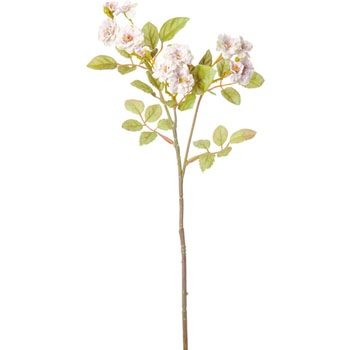 FA-7110 �|���j�G�|���|�����[�Y ���l�f�B�X�v���C�~���[�W�A�� 89488288