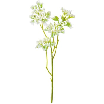 FA-7147 �����^�i�V���[�g ���l�f�B�X�v���C�~���[�W�A�� 89489532