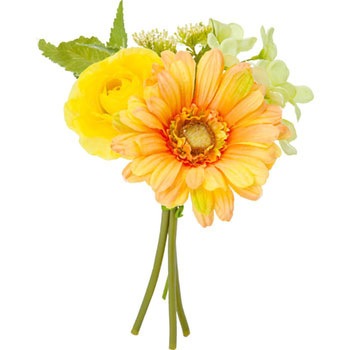 FB-2470 K[x~bNXu[P lfBXvC~[WA 1 FB-2470 89491334