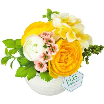 FBC-8127 �r�W�b�g���i���L�����X�E�[���|�b�g ���l�f�B�X�v���C�~���[�W�A�� 89491903