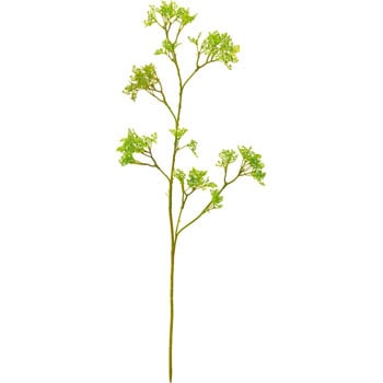 FG-4874 �Z�_���X�v���[ ���l�f�B�X�v���C�~���[�W�A�� 89492926