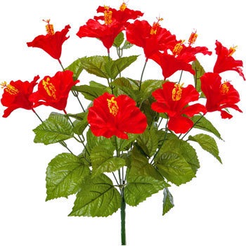 FS-MB008 �n�C�r�X�J�X�u�b�V�� ���l�f�B�X�v���C�~���[�W�A�� 89493416