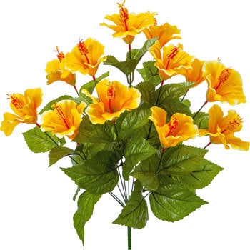 FS-MB008 �n�C�r�X�J�X�u�b�V�� ���l�f�B�X�v���C�~���[�W�A�� 89493425