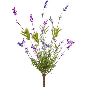 FS-MB011 ���x���_�[�u�b�V�� ���l�f�B�X�v���C�~���[�W�A�� 89493468