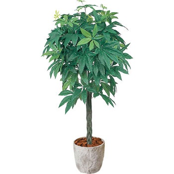 GLPS-2003 �p�L�� ���l�f�B�X�v���C�~���[�W�A�� 89494965