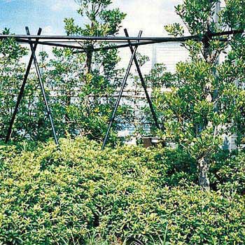 イボ竹 積水樹脂 園芸支柱 【通販モノタロウ】