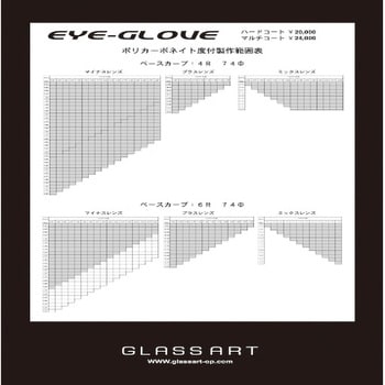 GP-98-GR 二眼型セーフティゴーグル 1個 EYE-GLOVE 【通販サイトMonotaRO】