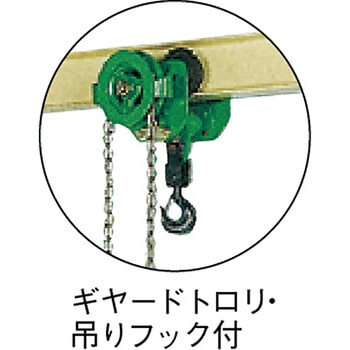 エルダジブ カントー