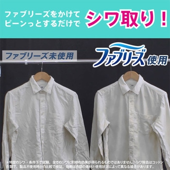 【大容量】ファブリーズ 業務用 除菌 消臭 スプレー 布用 消臭剤 詰め替え 10L P&Gプロフェッショナル P&G