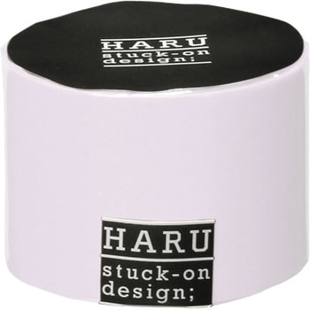 F0810 HARU ae[v jgY 89570802