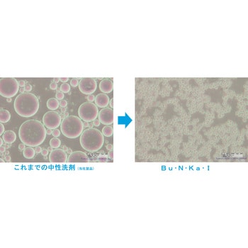 BU-10-F 物油用中性洗剤 Bu・N・Ka・I ヤナギ研究所 業務用 容量5L